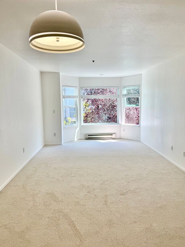 Building Photo - Beautiful 1Bd/1Ba in the Heart of Pacific Heights