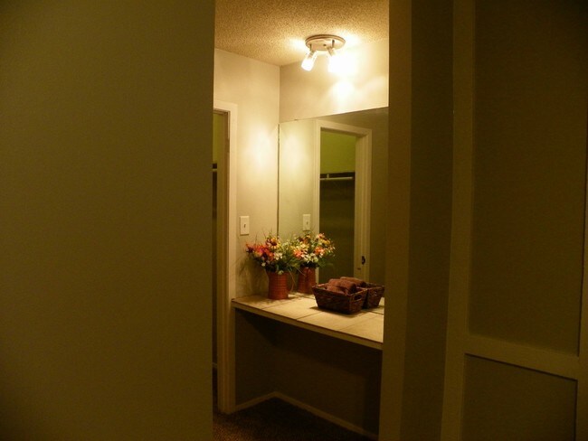 Building Photo - 3406 Dolphin Dr