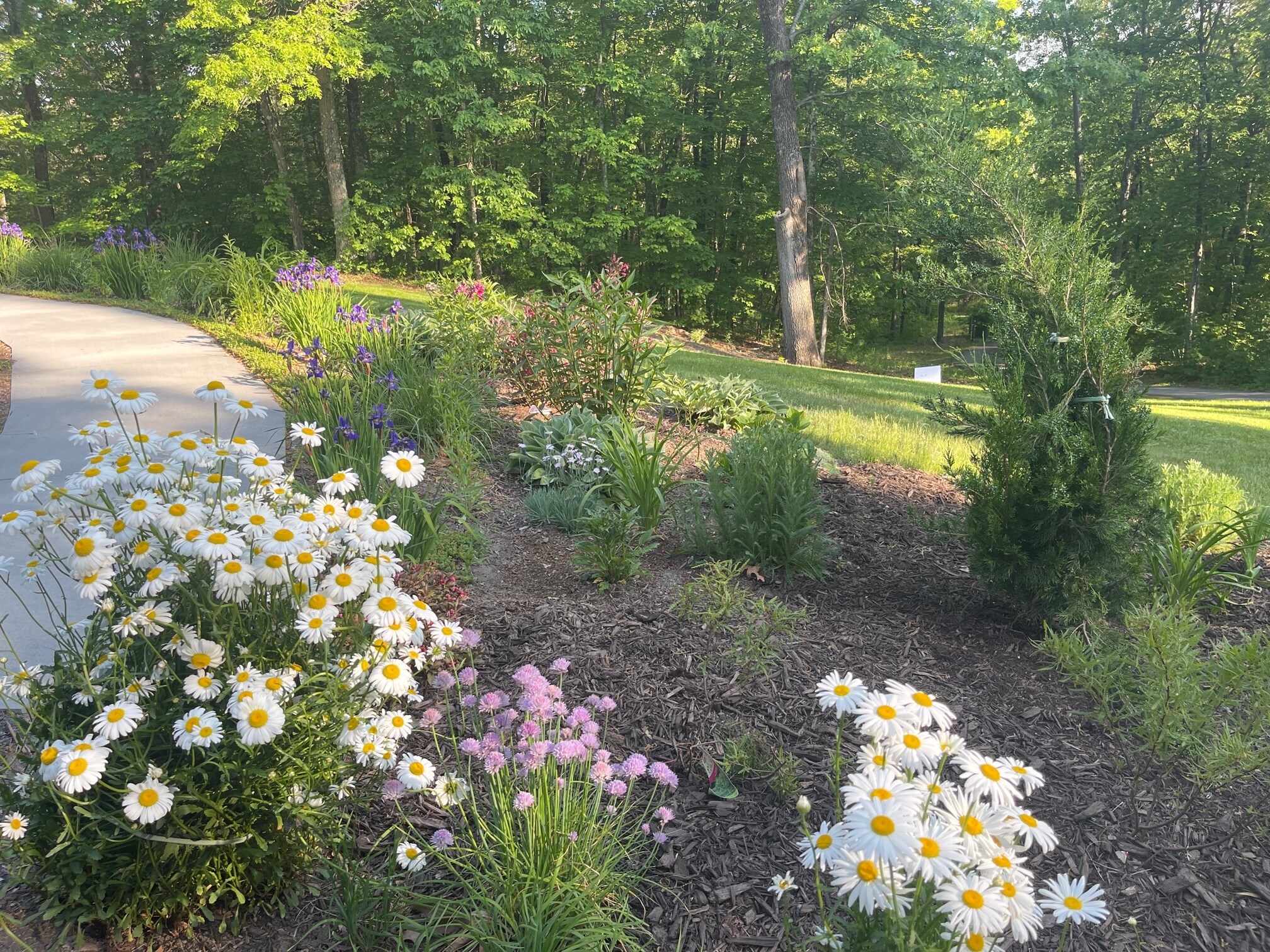 Building Photo - 20 Maple Hill Rdge