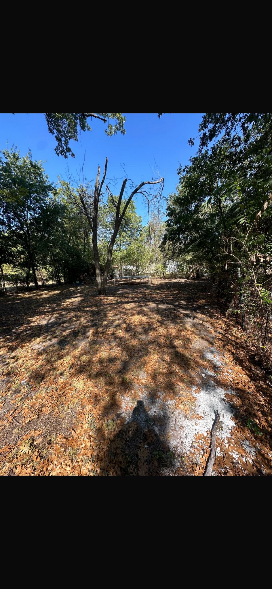 Large sized yard - 2308 W 6th Ave