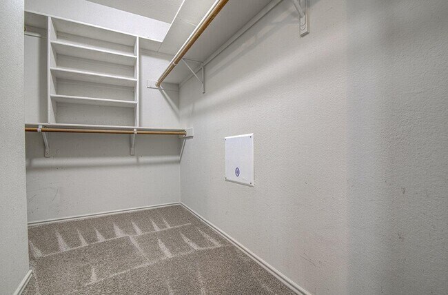 Building Photo - 3408 Campanella Dr