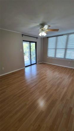 Building Photo - 2409 Leon St