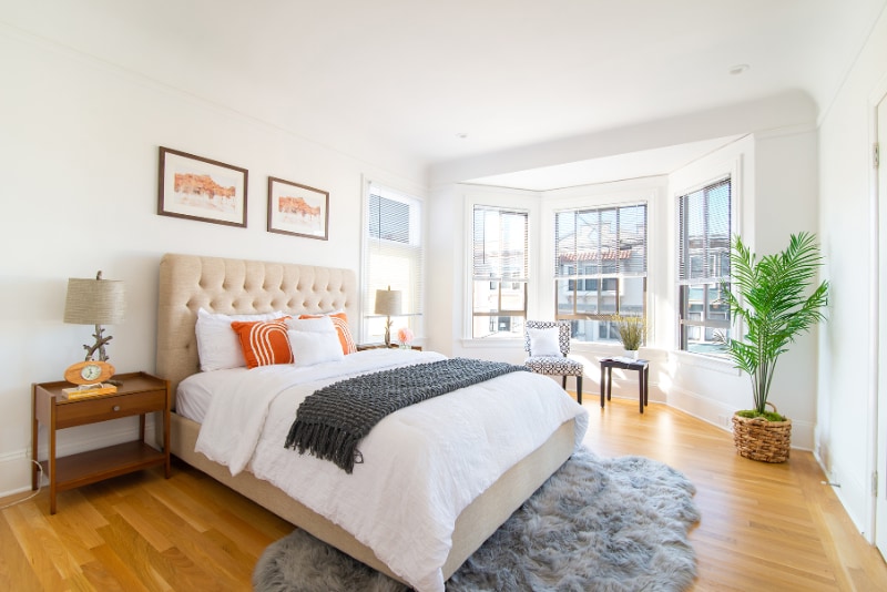 Building Photo - 1741 Balboa St