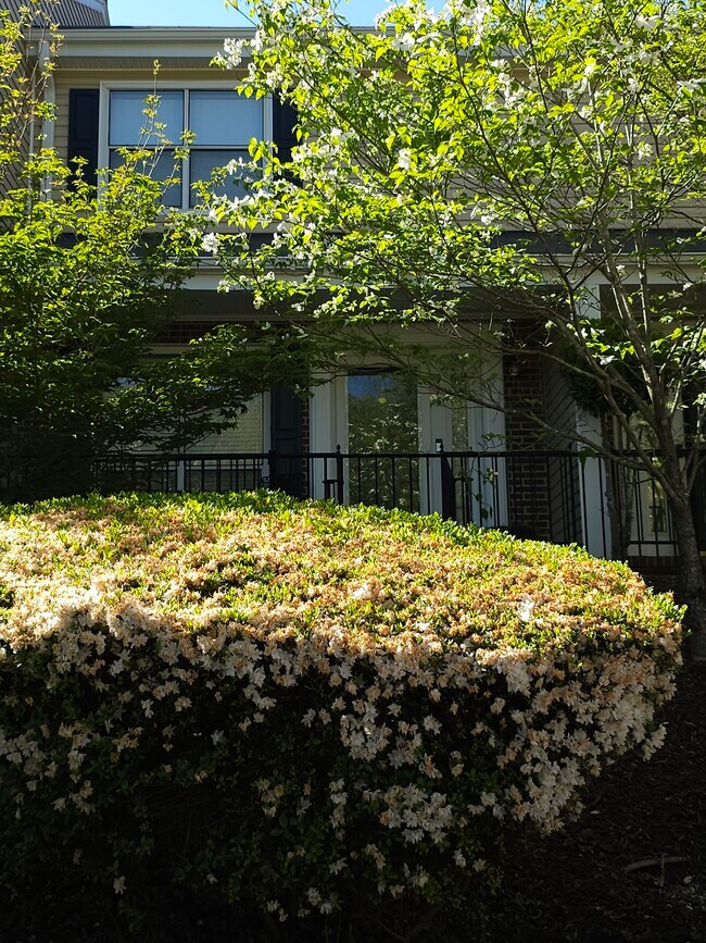 Building Photo - 975 Surry Ln