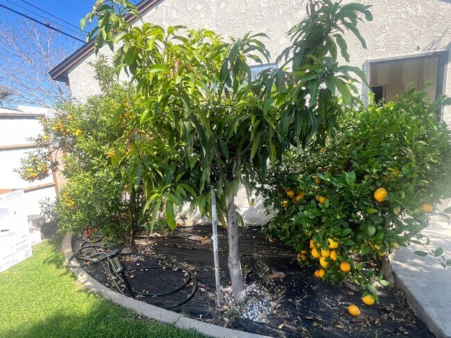 Building Photo - Home with a Cabin Style Family room and backyard Oasis