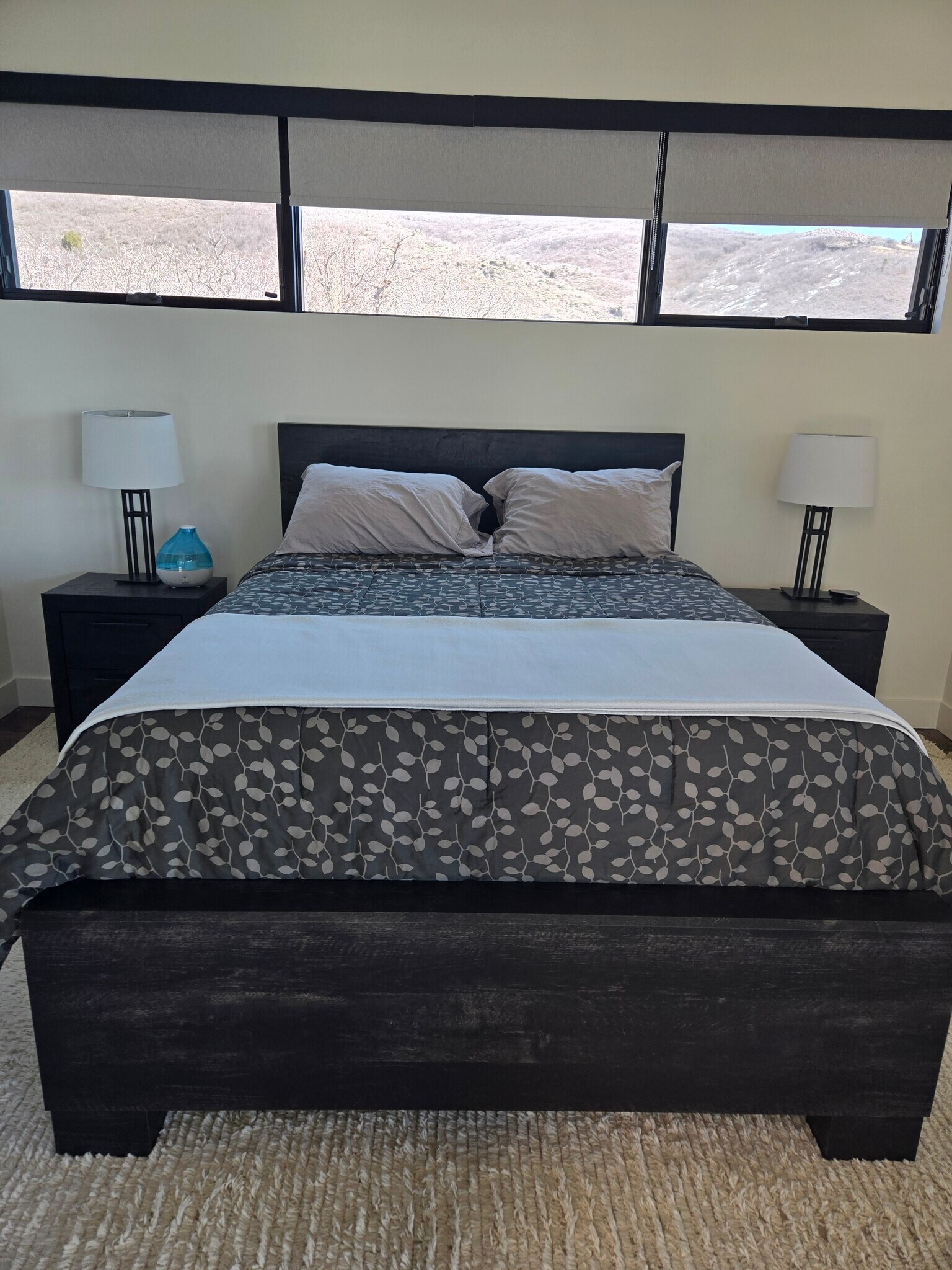Lower master bedroom - 11624 White Tail Ct