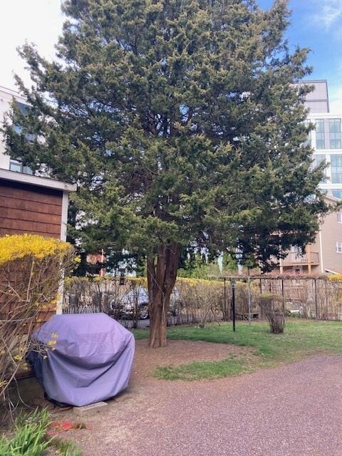 Building Photo - 90 Prospect St