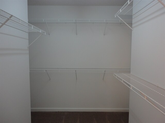 Building Photo - 622 Keeneland Ter