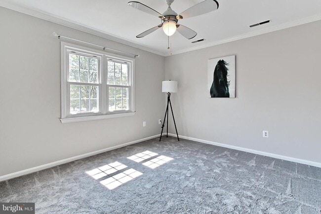 Building Photo - 6572 Flagmaker Ct