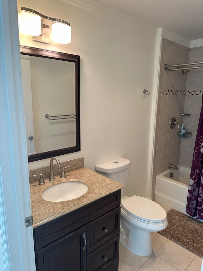 Upgraded 2nd Bathroom - 354 Wimbeldon Ct