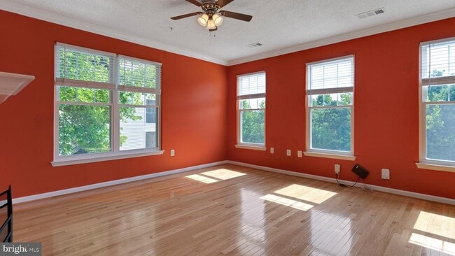 Building Photo - 11343 Aristotle Dr