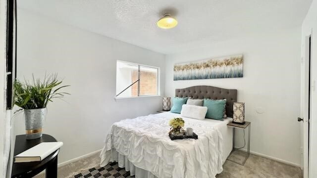 Building Photo - 1803 Ripple Creek Dr