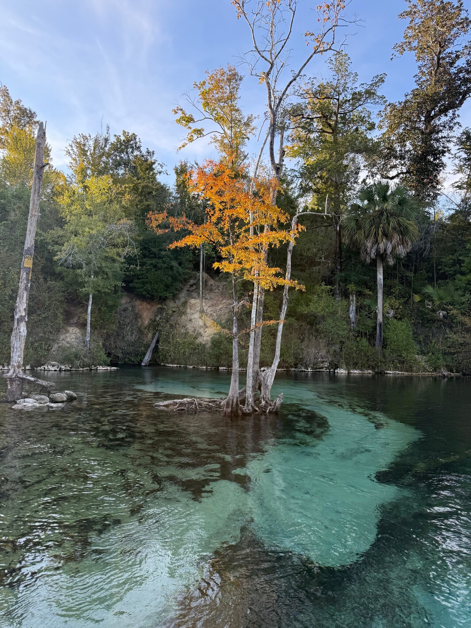 Building Photo - 3610 Conwick Dr