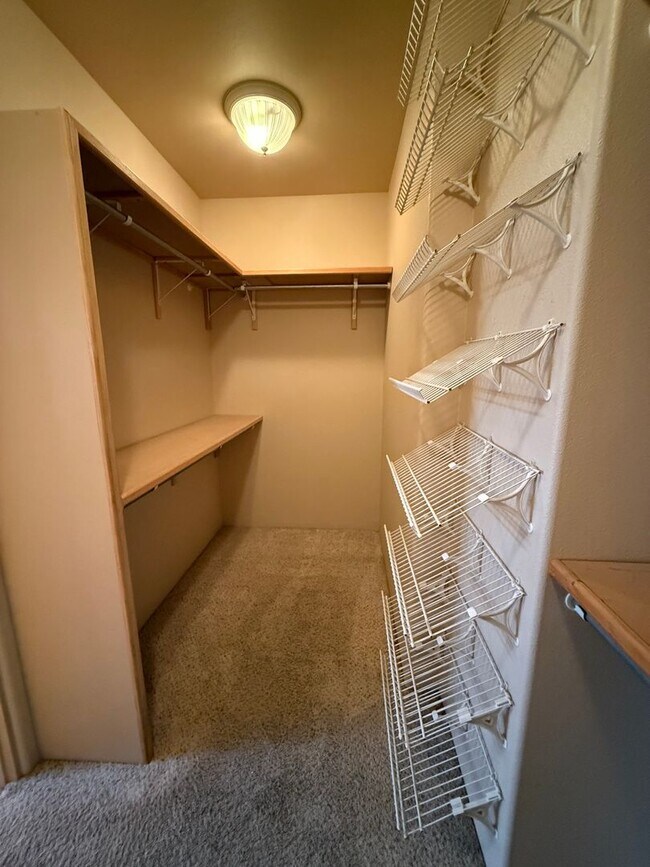 Building Photo - 3878 Stoneybrook Cir