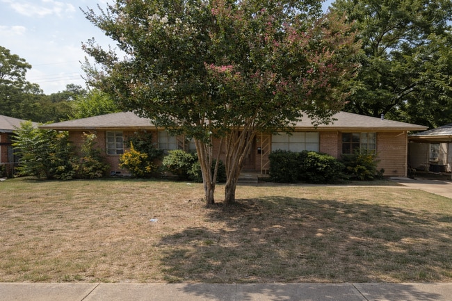 Building Photo - 725 Irby Ln