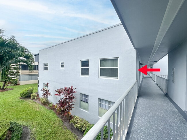 Primary Photo - 39 Burgundy A