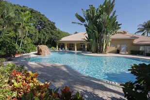 Building Photo - Club Caribe Apartments SPRING SPECIAL