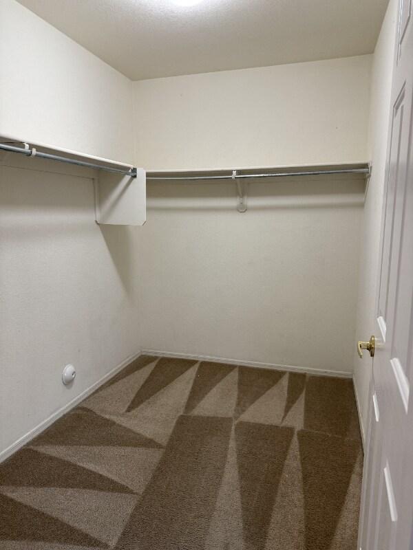 Building Photo - 615 E Sterling Canyon Dr