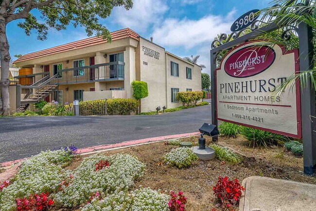 Primary Photo - Pinehurst