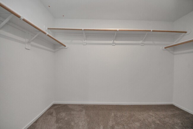 Building Photo - 13499 Sonali Springs Dr