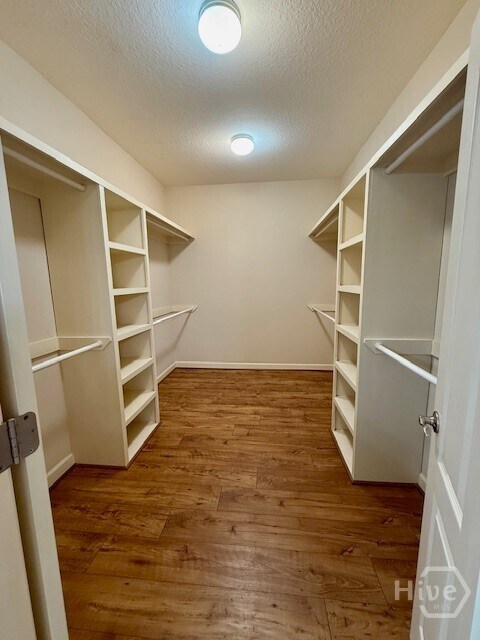 Building Photo - 204 Oak Branch Ct