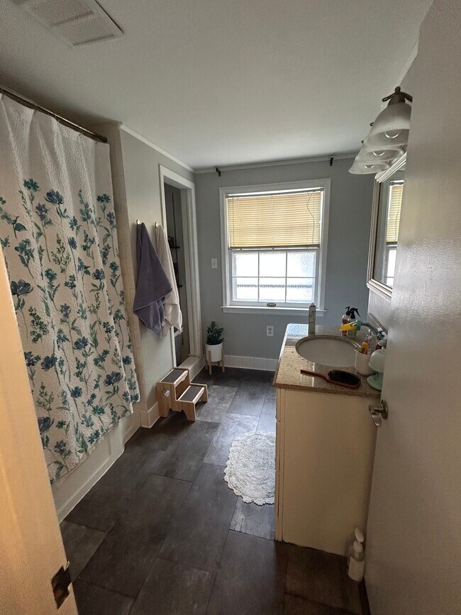 Bathroom - 1133 Lathrop Ave