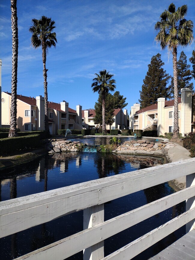 Building Photo - 1699 Pyrenees Ave