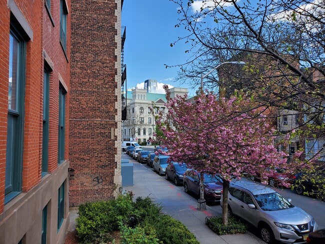 Building Photo - 46 Mercer St