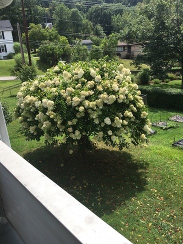 Building Photo - 1454 Stanley Dr