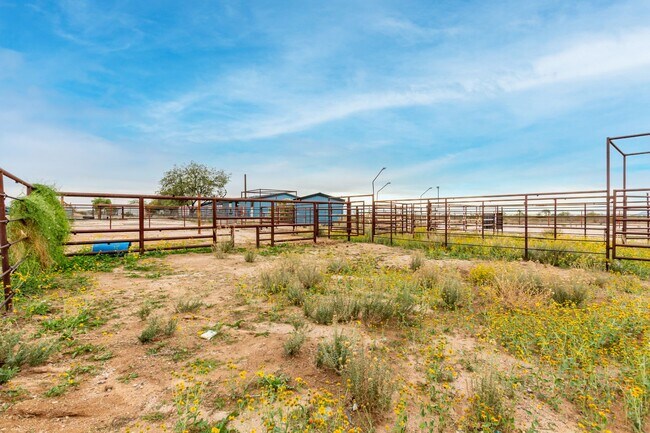 Building Photo - 1.25 Acre 5 Bedroom 3 Bathroom Horse Property in Florence!