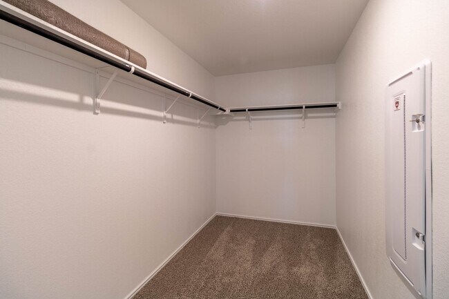Building Photo - 5601 Bellissima Way
