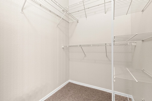 Building Photo - 12904 Sanctuary Cove Dr