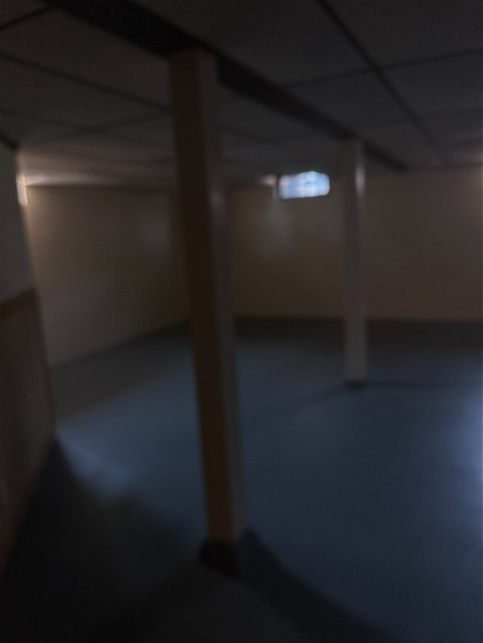 Basement - 3856 Clover Ln