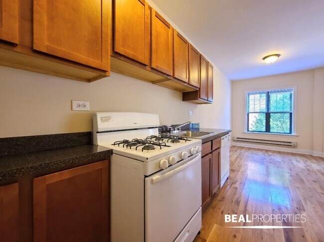 Building Photo - 1 bedroom in CHICAGO IL 60657