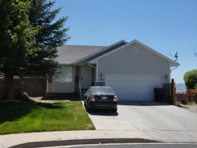 Primary Photo - charming basement apartment