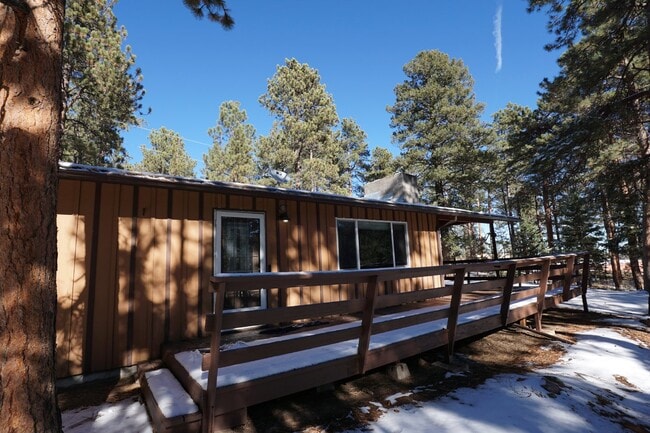 Primary Photo - Charming Home in Conifer!