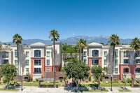Building Photo - Metro 102 Apartments