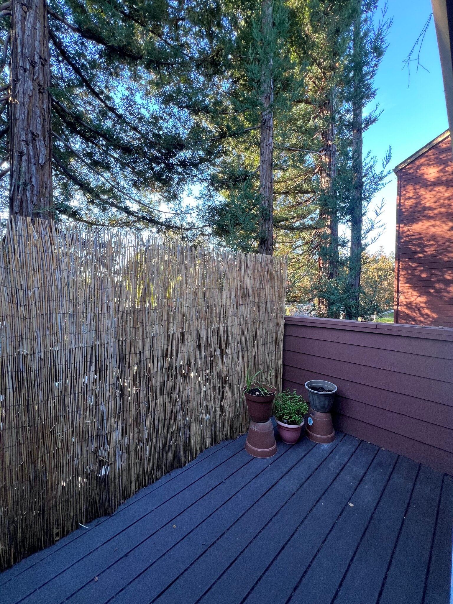 Building Photo - 820 Catkin Ct