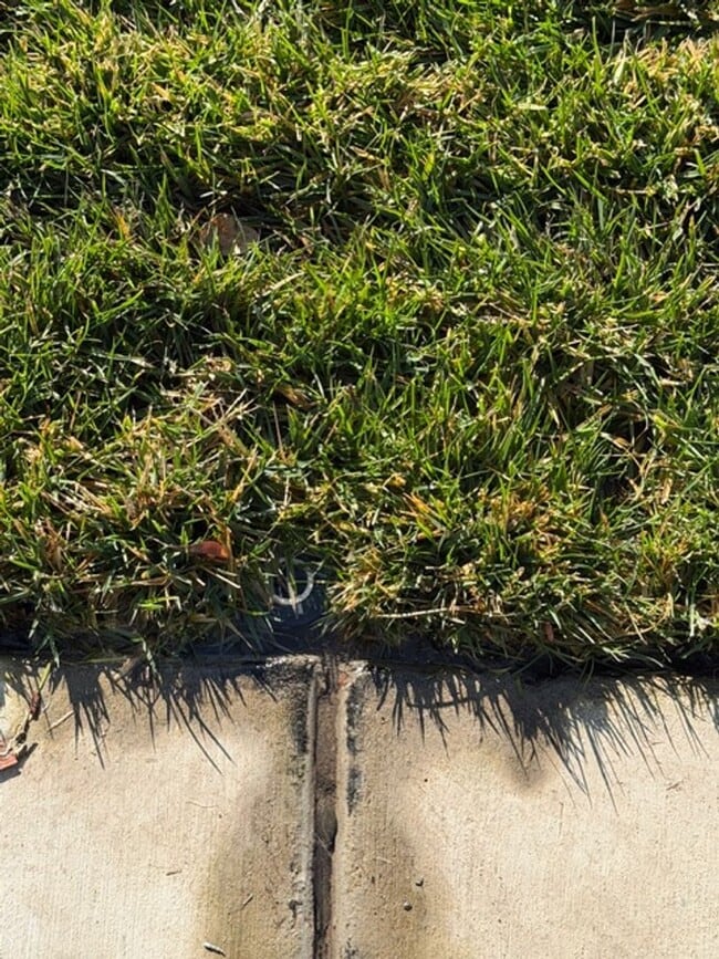 Building Photo - 77-79 West Clover St