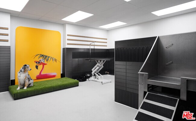 Building Photo - 525 Olive St