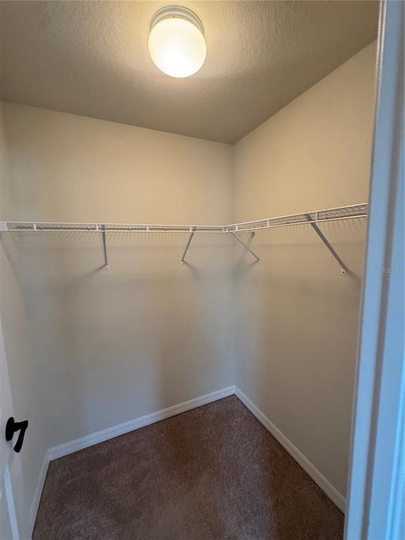 Building Photo - 4806 Chatterton Way