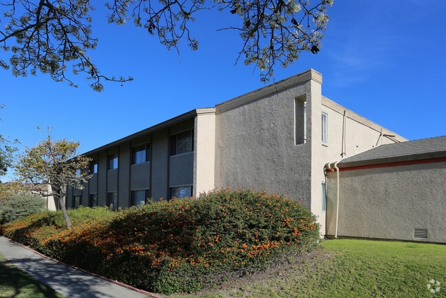 Building Photo - Michael Arms Apartments