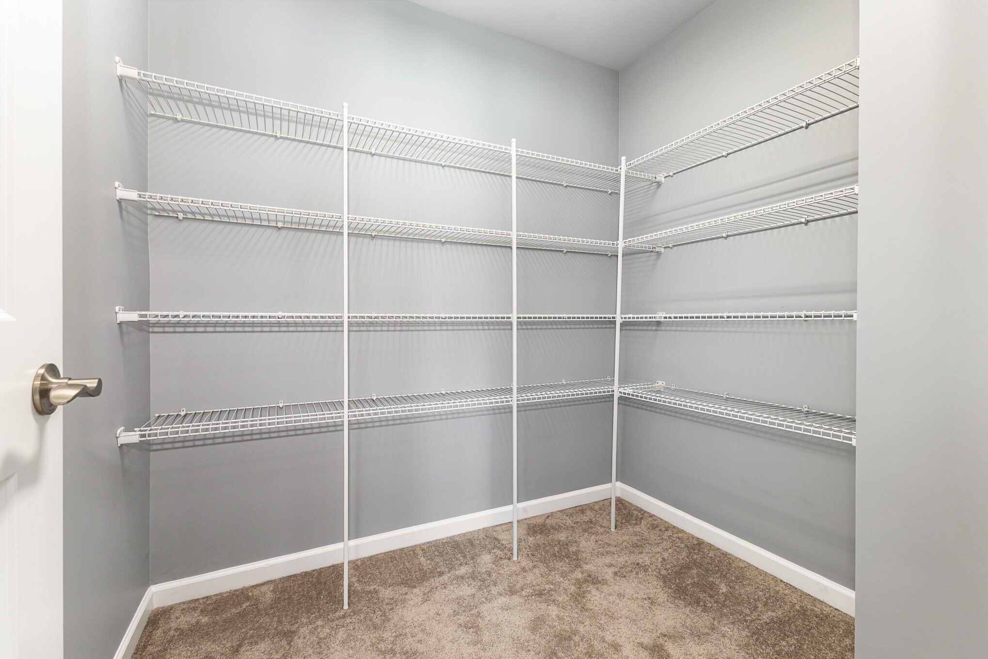 Building Photo - 6225 Majesty Ct