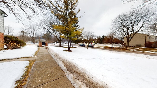 Building Photo - 3008 Bolgos Cir