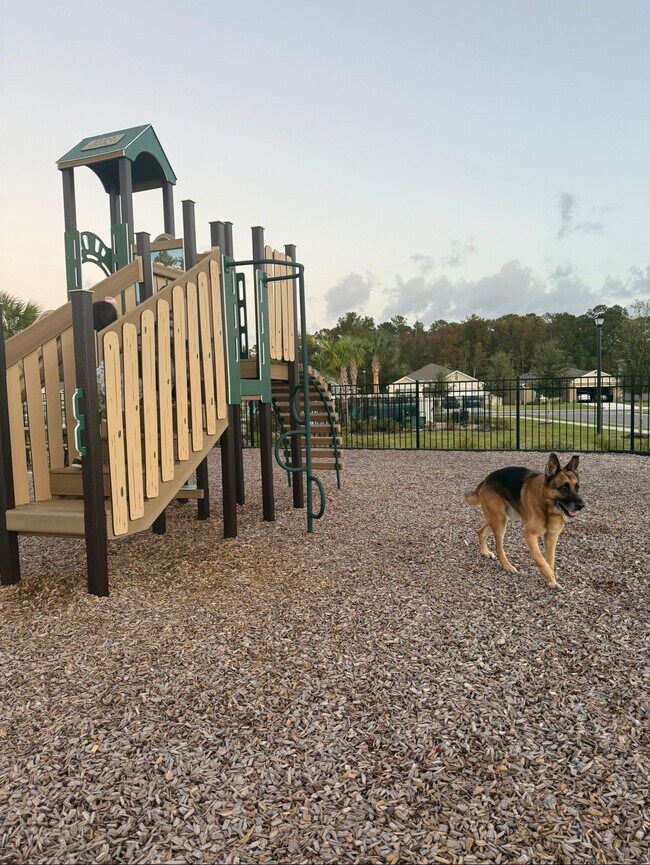 Building Photo - 3771 Alder Bark Ln
