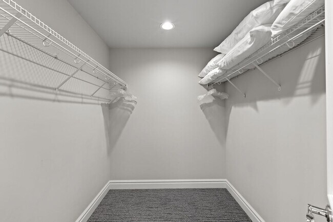 Building Photo - Stout Street 2 BDR at Curtis Park