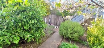 Building Photo - 1457 11th Ave