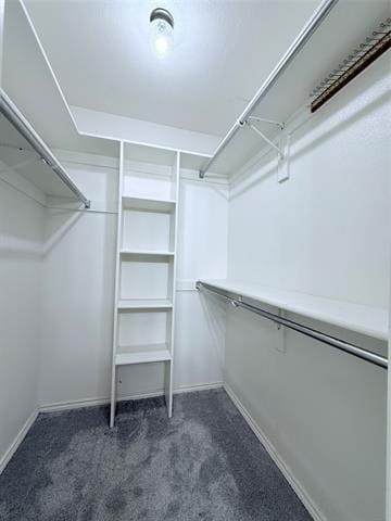 Building Photo - 313 Pear Tree Pl