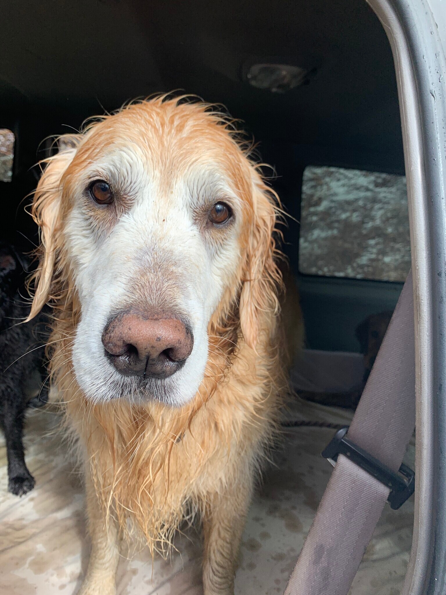 Building Photo - 12220 Menaul Blvd NE