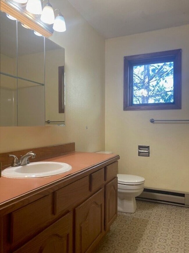Building Photo - 2 Bedroom Apartment Near MSU! Small Dogs W...